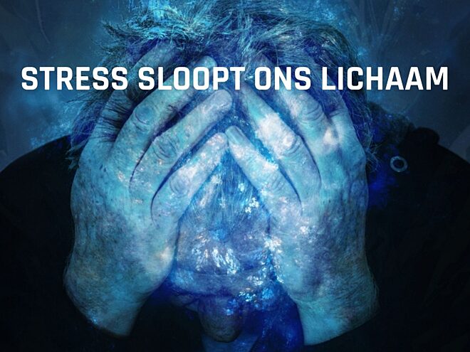 Stress sloopt ons lichaam 2