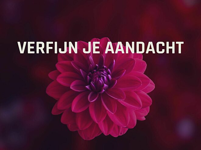 Verfijn je aandacht