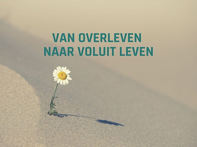 Voluit leven