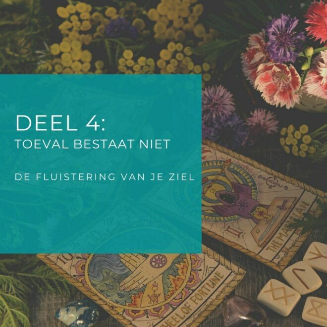 Deel 4 toeval bestaat niet